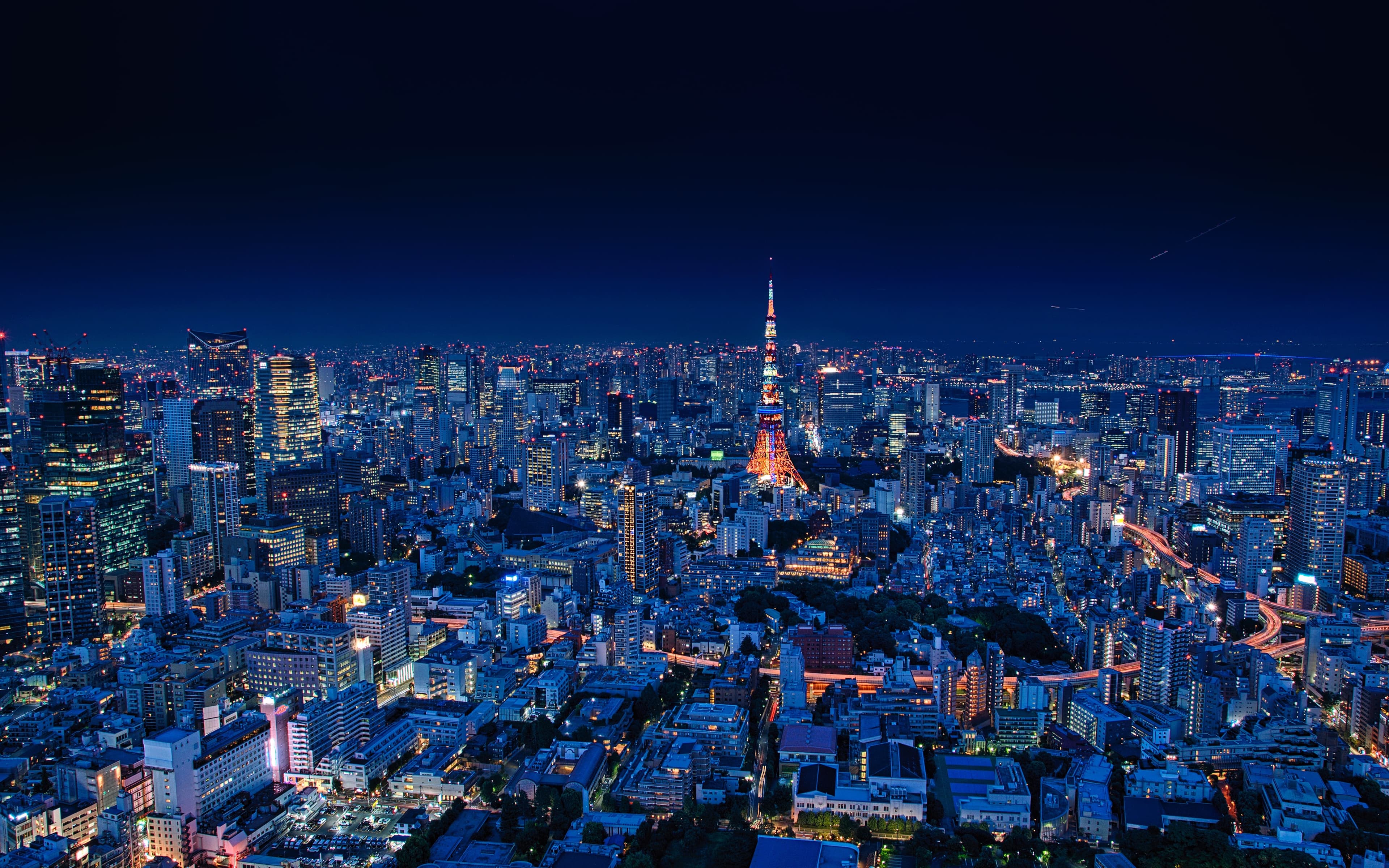 Tokyo Night Skyline